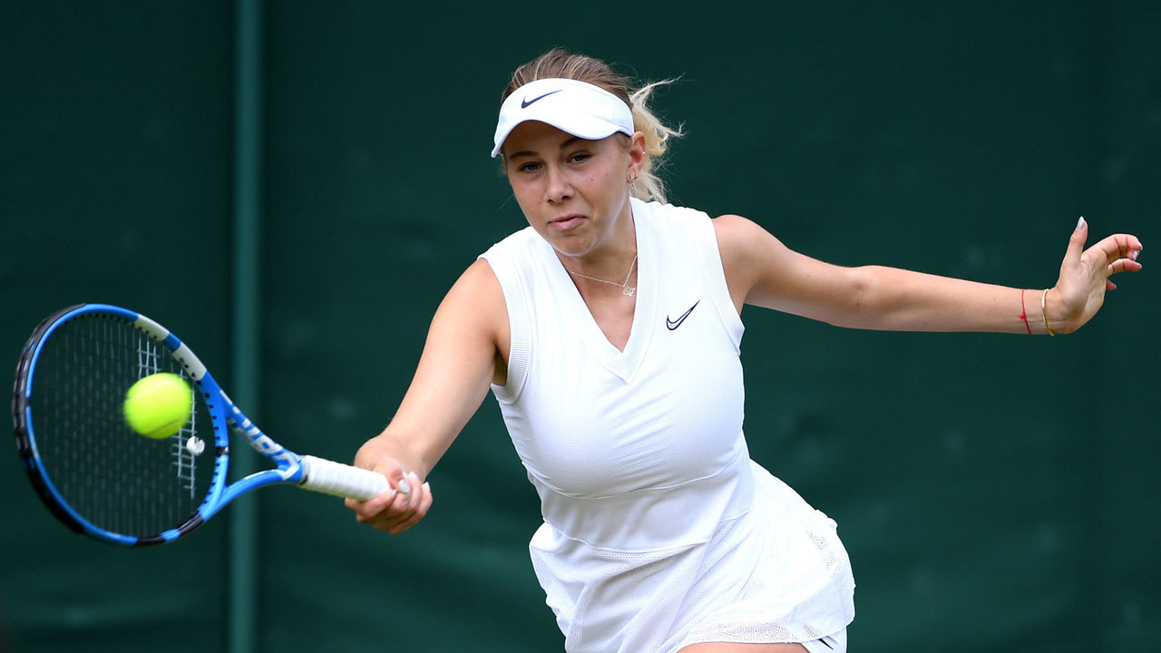 的地位日益 的地位日益