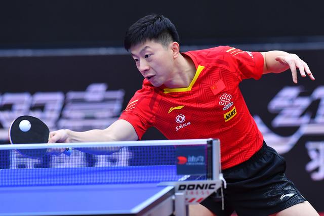 杨楠被调查 杨楠被调查